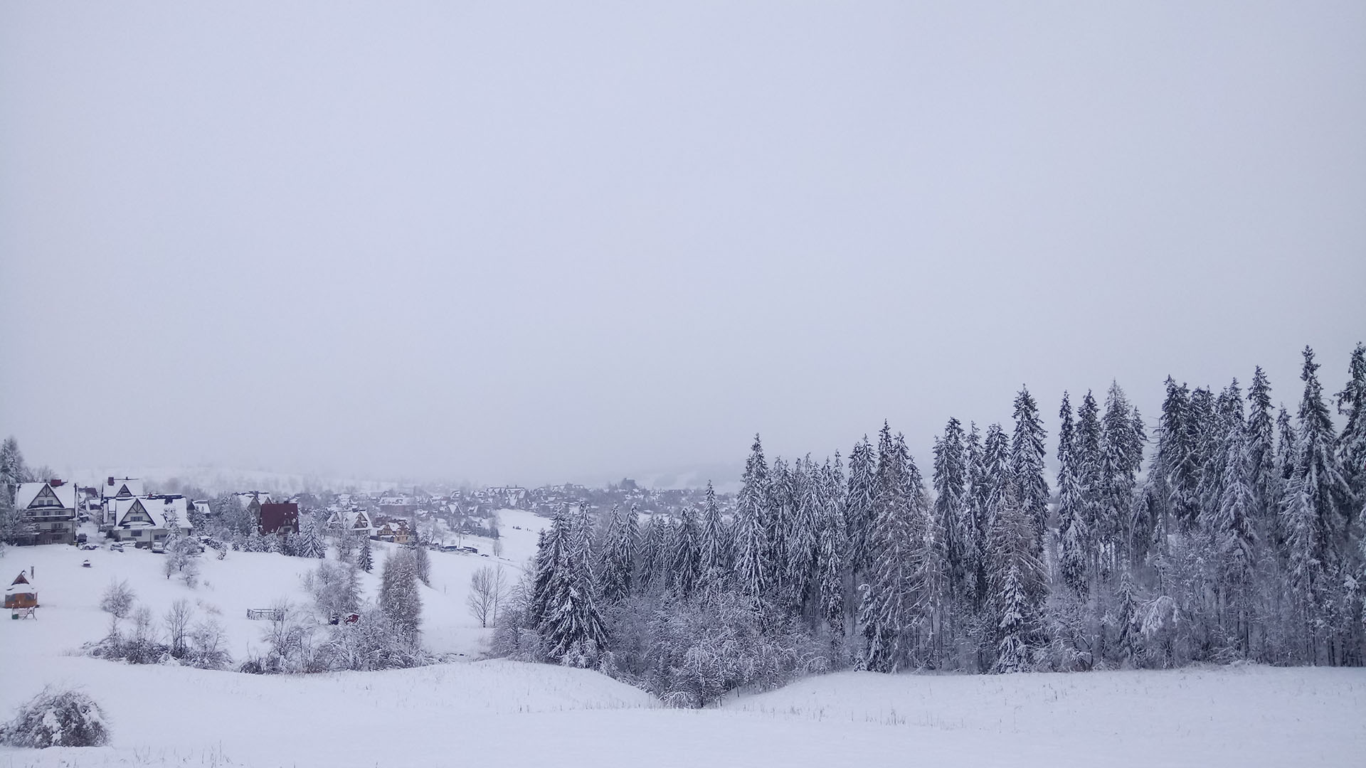 Panorama w Bukowinie Tatrzańskiej